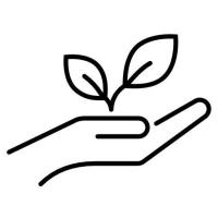 Pursuring Philantropic Interest Seedling Hand Icon